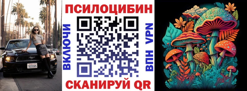 магазин наркотиков Аксай мега сайт darknet состав Псилоцибиновые грибы Cubensis