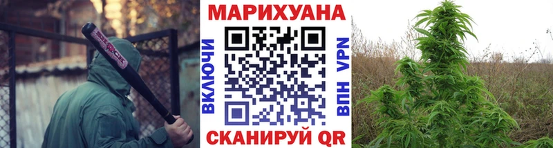 Каннабис гибрид  Аксай 